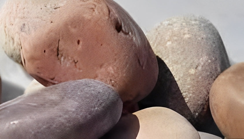 Pebbles - Super Sacks - Florida