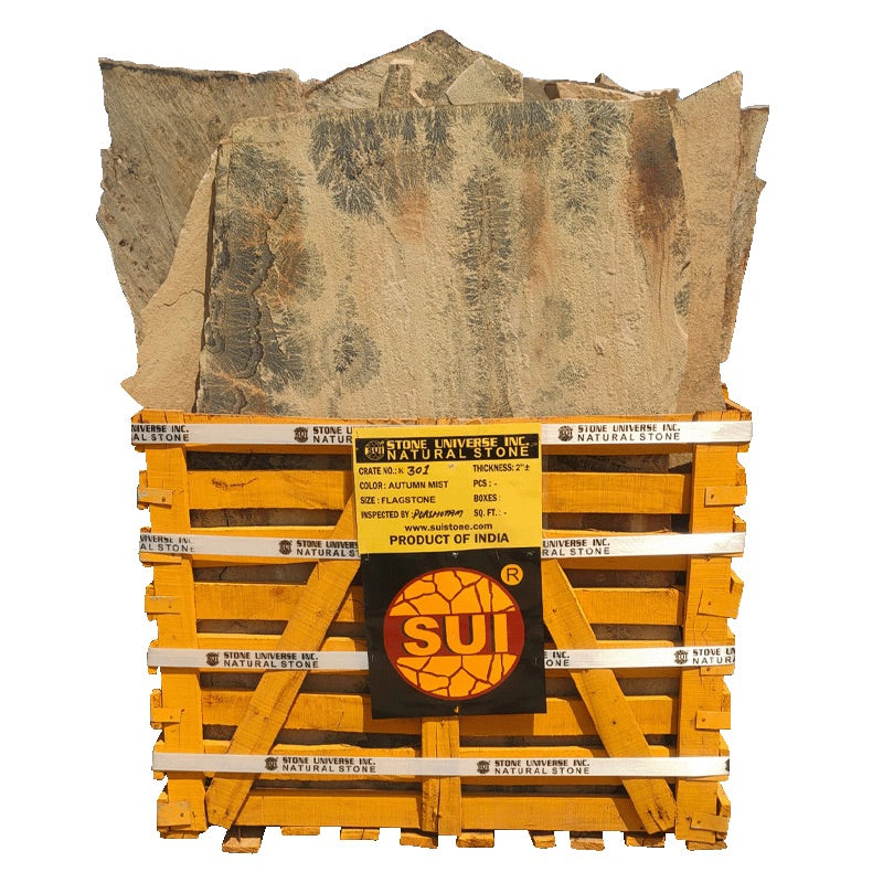 Patio (West) - California