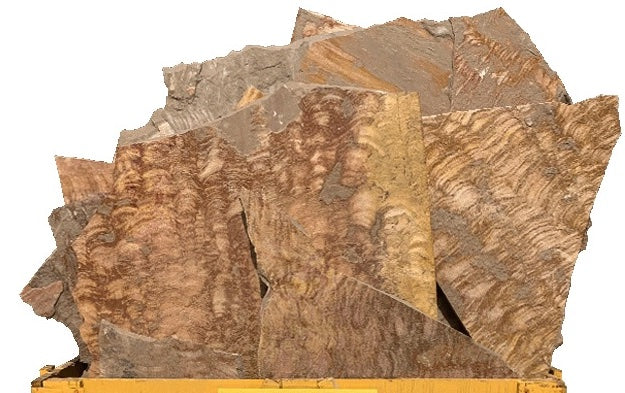 Patio Stones (Sold Per Pallet) - Washington