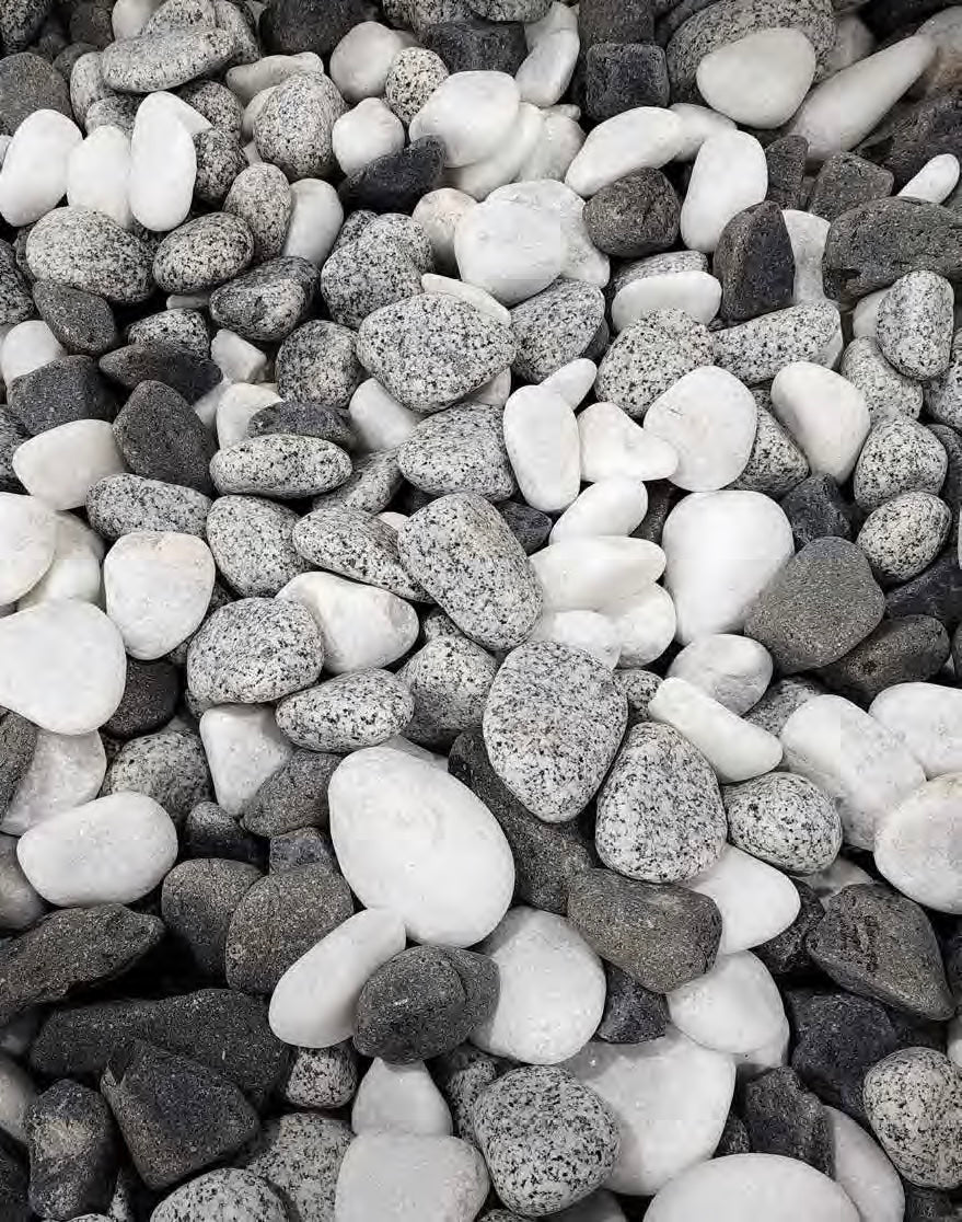 Pebbles - Wire Cage - Florida