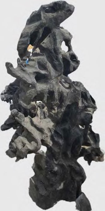 Garden Art Or Fountains - Florida