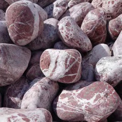 Pebbles - Wire Cage - Florida