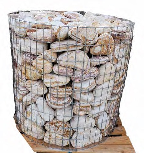 Pebbles - Wire Cage - Florida