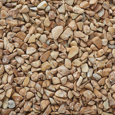 Wood-Bean-Pebble-1