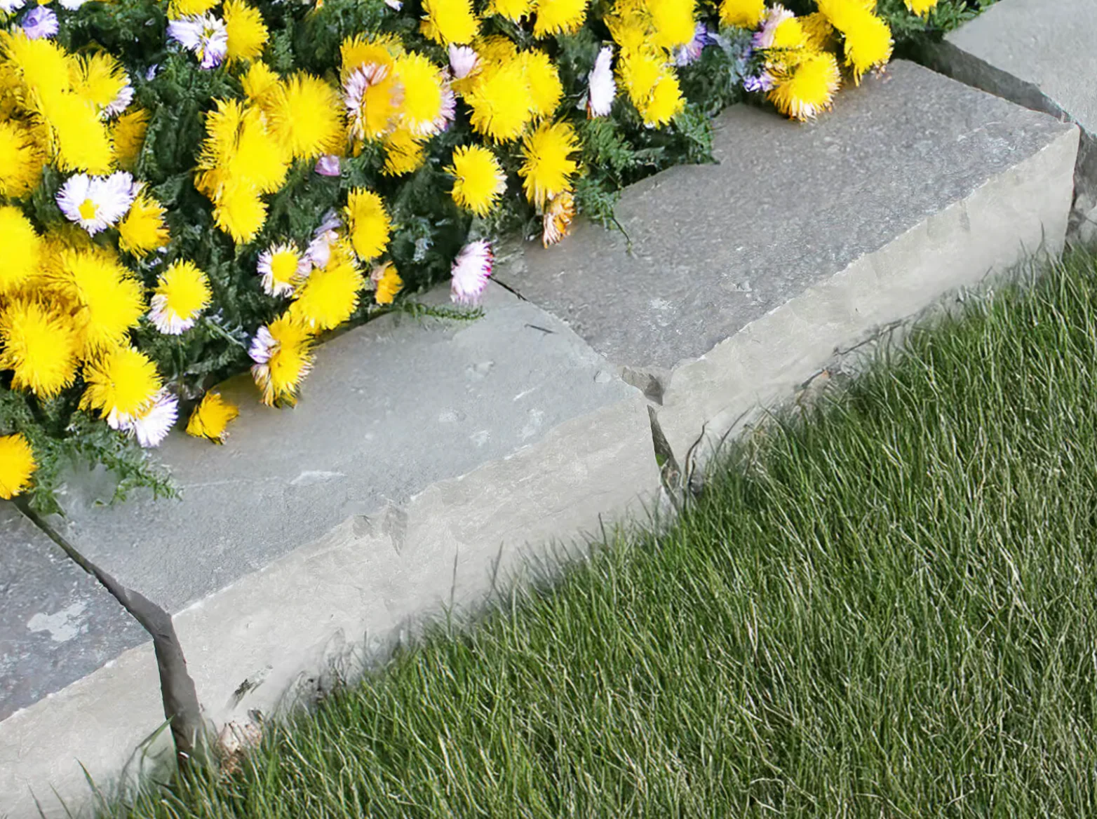 Hi  edging rocks,