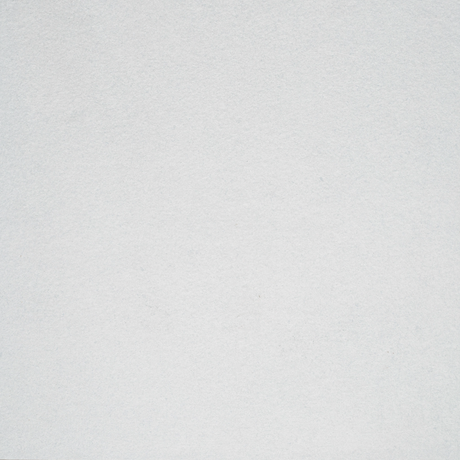 Everest Grey