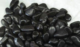 Pebbles - Bagged - Florida