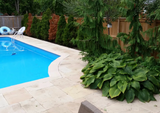 Pool Coping - 2" Thick, 12" X 48" - Ontario
