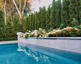 Banas Stones® 2" Thick Coping With Drip Edge - 16" X 72" - Ontario