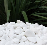 Pebbles - Super Sacks - Florida