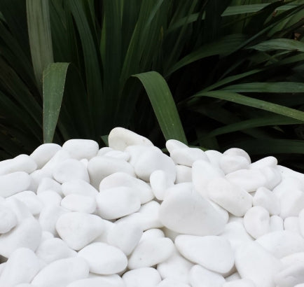 Pebbles - Super Sacks - Florida