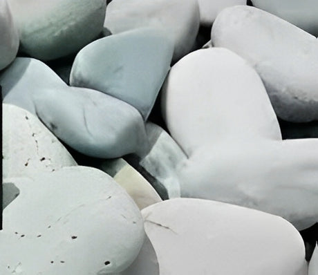 Pebbles - Bagged - Florida