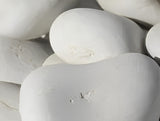 Pebbles - Bagged - Florida