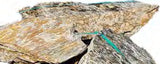 Boulders - Florida