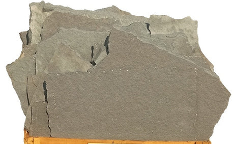 Patio (West) - California