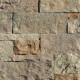 Eldorado Stone™ - Cut Coarse Stone Veneer - Massachusetts