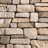 Eldorado Stone™ - Fieldledge Veneer - Massachusetts