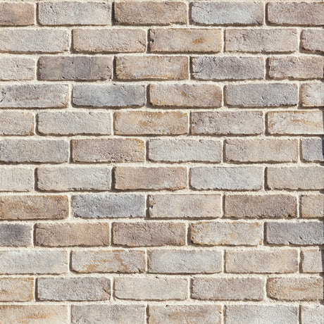 Eldorado Stone™ - Tundrabrick Veneer - Massachusetts