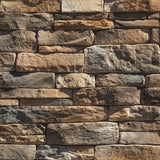 Dutch Quality Stone® - Stack Ledge Veneer - Massachusetts