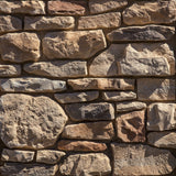 Dutch Quality Stone® - Tuscan Ridge Veneer - Massachusetts